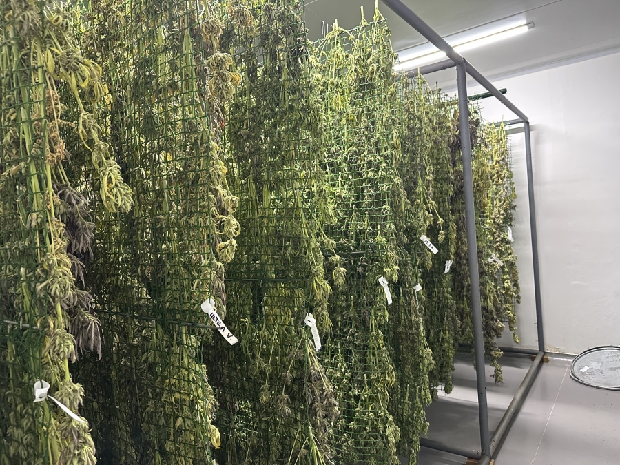 Commercial Property for Sale in Klapmuts Western Cape